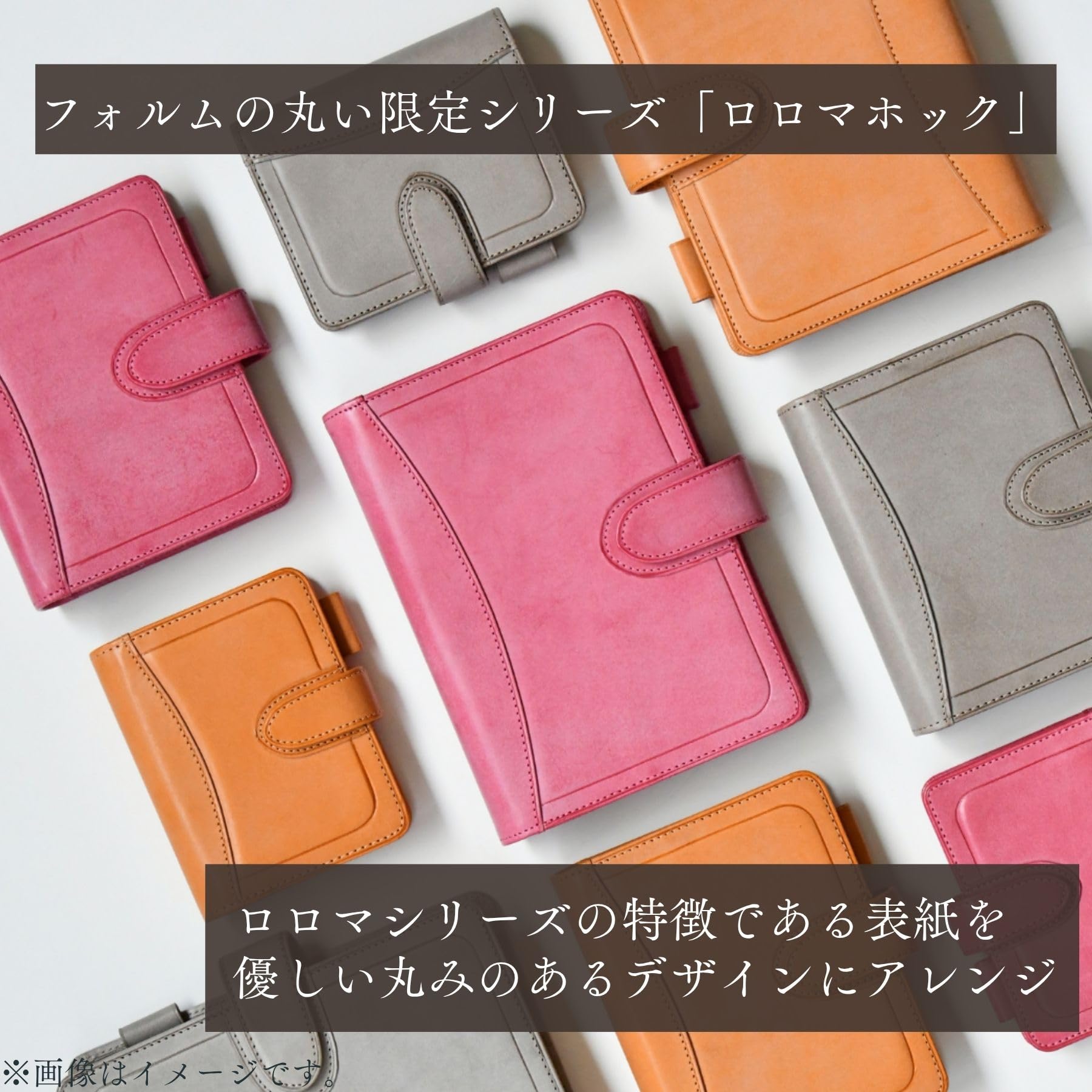Amazon.co.jp: レイメイ藤井 システム手帳 ダヴィンチ ロロマ